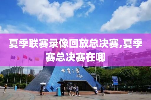 夏季联赛录像回放总决赛,夏季赛总决赛在哪