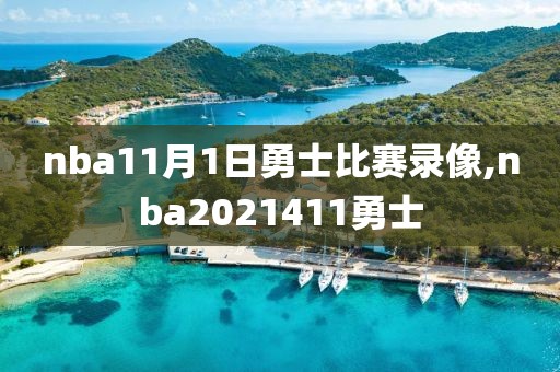 nba11月1日勇士比赛录像,nba2021411勇士