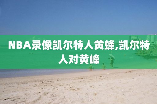 NBA录像凯尔特人黄蜂,凯尔特人对黄峰