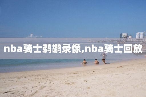nba骑士鹈鹕录像,nba骑士回放