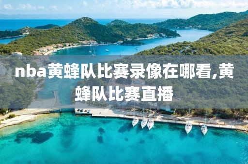 nba黄蜂队比赛录像在哪看,黄蜂队比赛直播