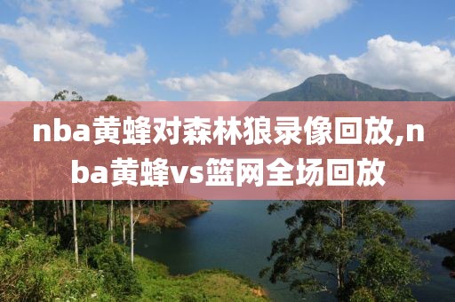 nba黄蜂对森林狼录像回放,nba黄蜂vs篮网全场回放