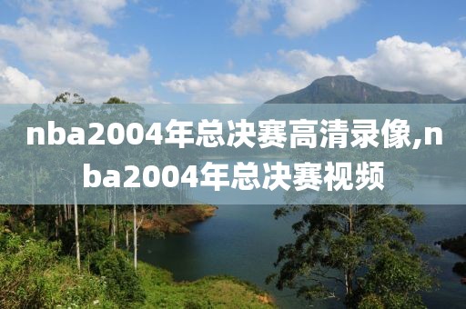 nba2004年总决赛高清录像,nba2004年总决赛视频
