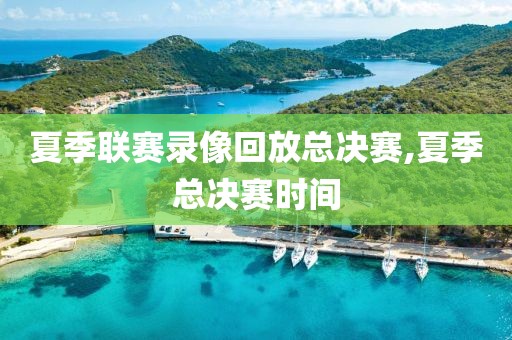 夏季联赛录像回放总决赛,夏季总决赛时间
