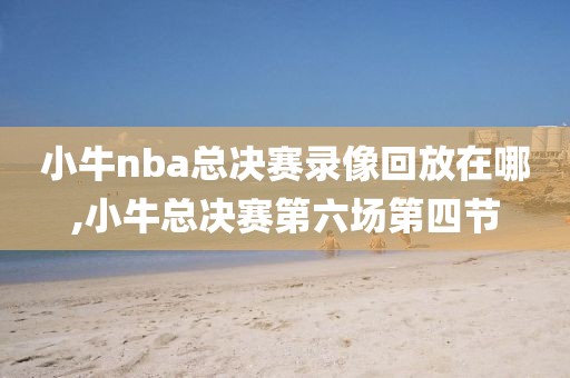 小牛nba总决赛录像回放在哪,小牛总决赛第六场第四节