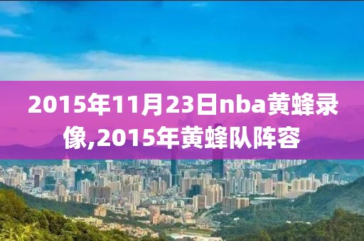 2015年11月23日nba黄蜂录像,2015年黄蜂队阵容